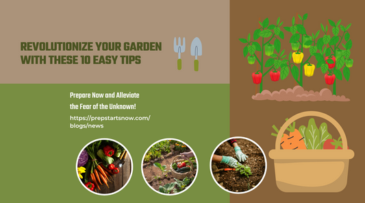 Revolutionize Your Garden with These 10 Easy Tips