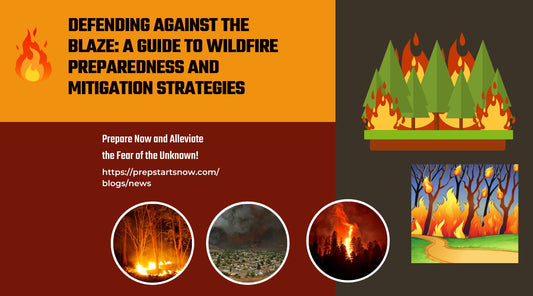 Defending Against the Blaze: A Guide to Wildfire Preparedness and Mitigation Strategies