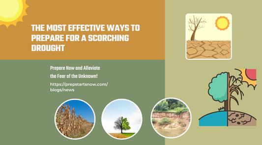 The Most Effective Ways to Prepare for a Scorching Drought