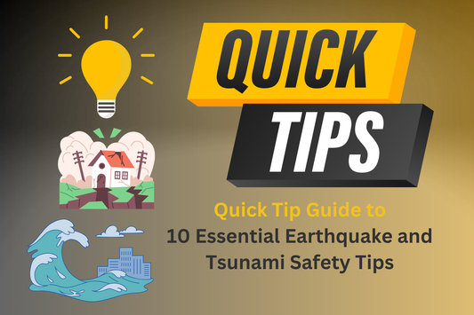 House Splitting from Earthquake - Tsunami wave about to hit buildings 