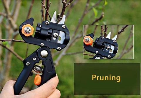 Precision Grafting and Pruning Knife Set: Elevate Your Gardening Game!