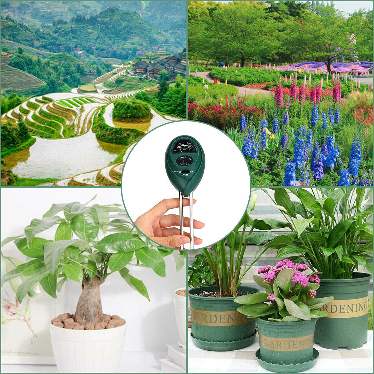 Garden Master 3-in-1 Soil Tester Kit: Monitor pH, Moisture, and Light Levels for Vibrant Plants!