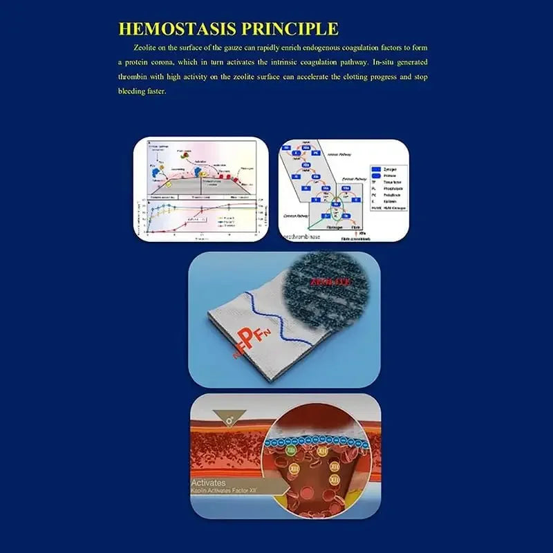 Educational diagram explaining the hemostasis principle with various illustrations on a blue background.